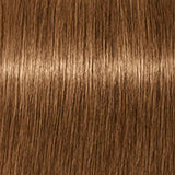 Schwarzkopf Igora Royal Absolutes 60ml