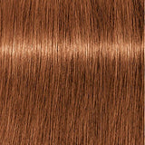 Schwarzkopf Igora Royal Absolutes 60ml