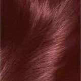 Goldwell Topchic Tube 60ml